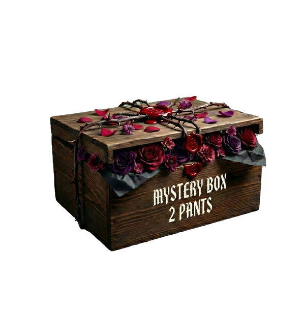 Mystery Box - 2 Straight Fit Baggy Pants - NO COD