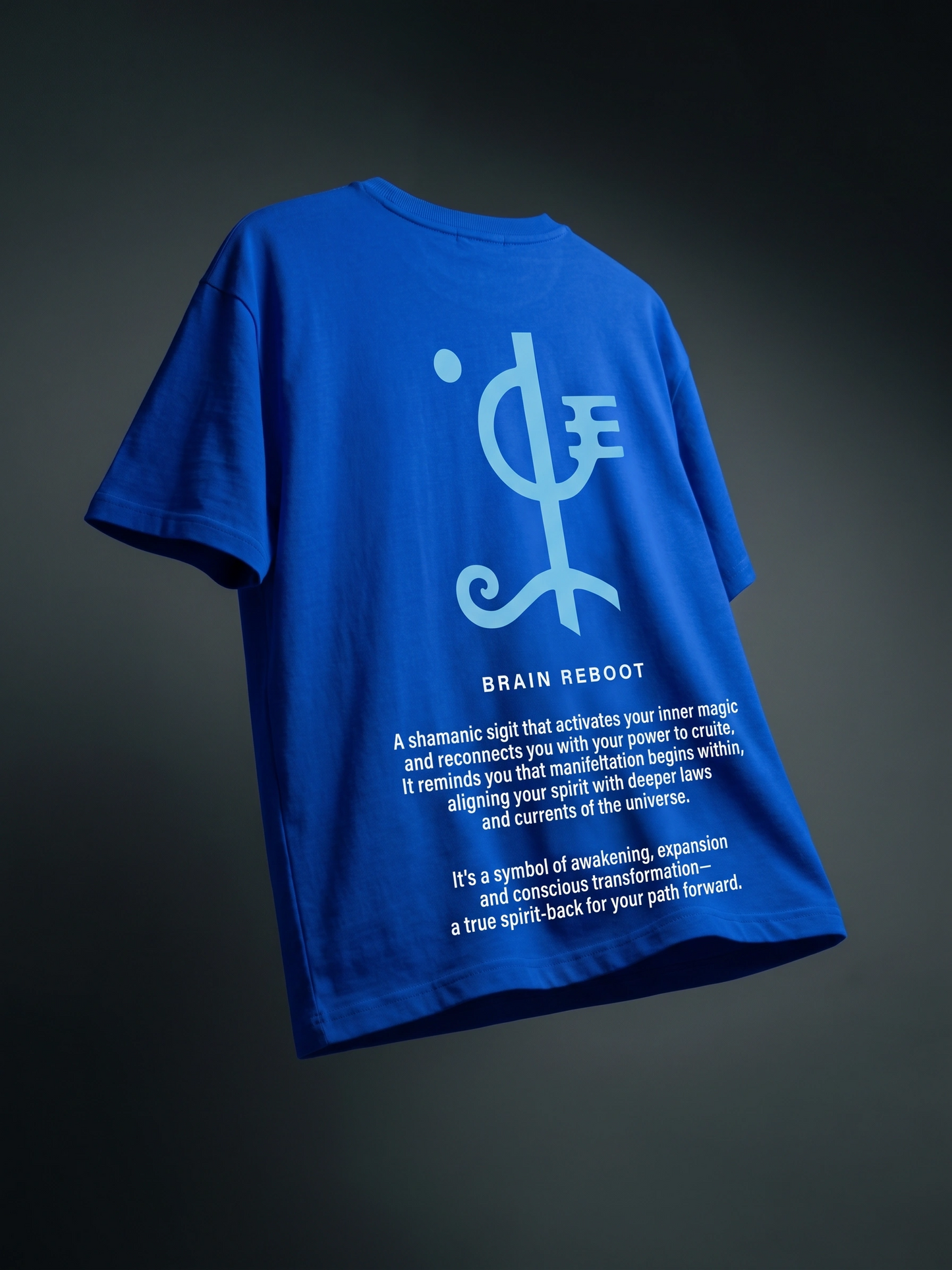 Brain Reboot Oversized Premium T-Shirt