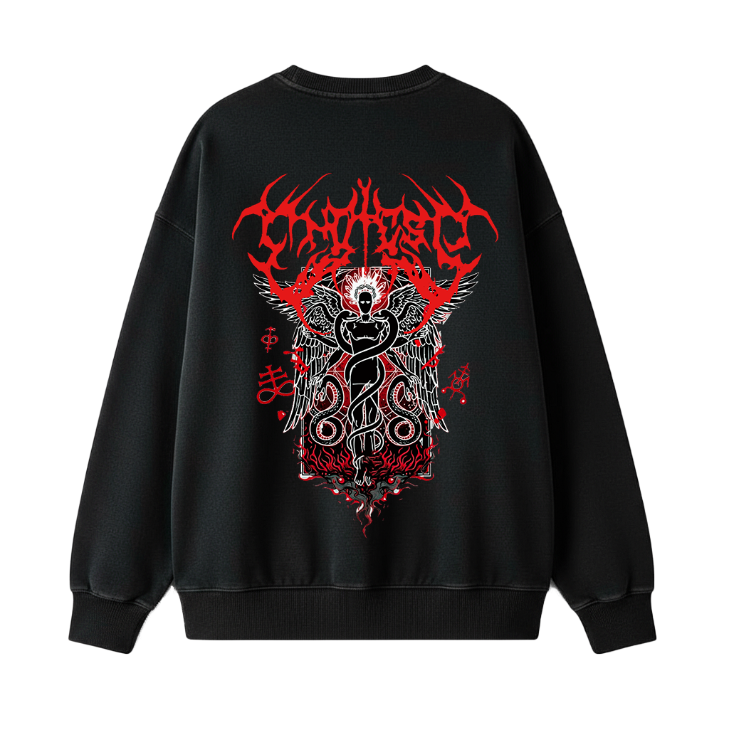 Transumate Premium Oversized Heavyweight Sweatshirt